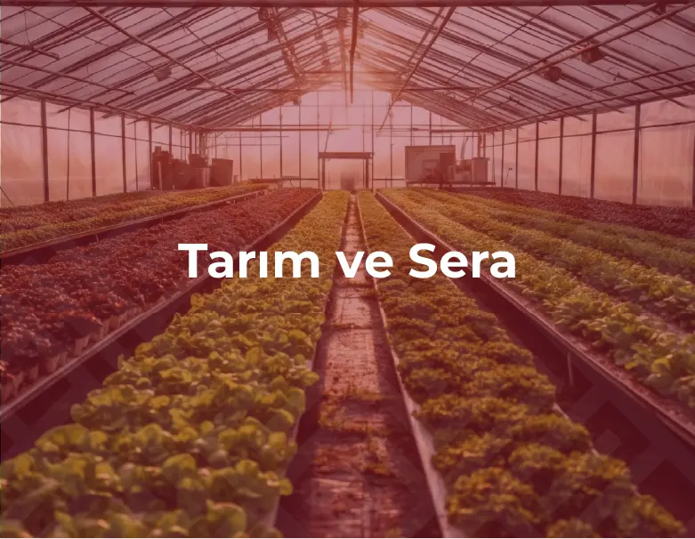 Tarım ve Sera