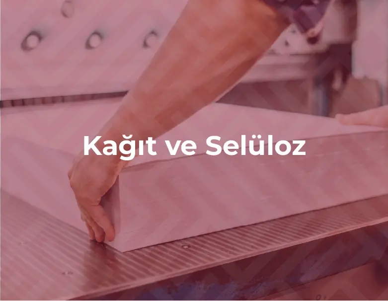 Kağıt ve Selüloz