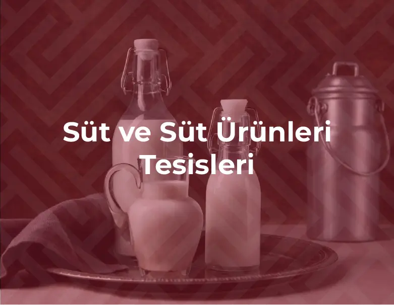 Süt ve Süt Ürünleri Tesisleri