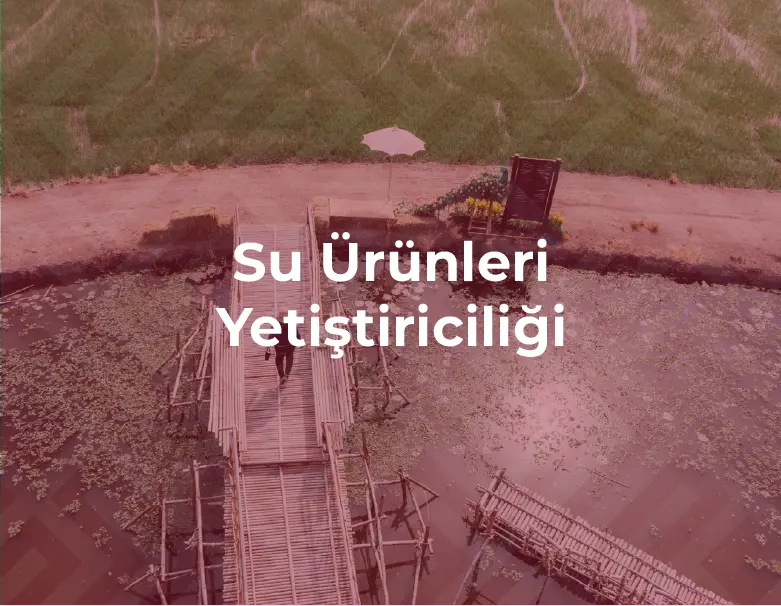 Su Ürünleri Yetiştiriciliği