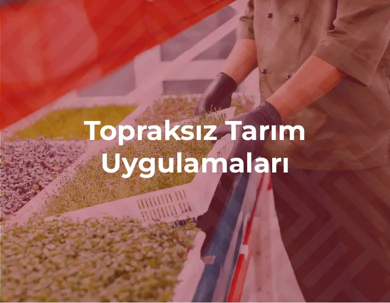 Topraksız Tarım Uygulamaları